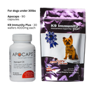 Apocaps® and K9 Immunity Plus™ - K9medicinals.com k9 immunity plus for dogs under 30lbs 30 wafers per pack apocaps capsules apoptogen formula for dogs 90 capsules dog supplements canine cancer supplements