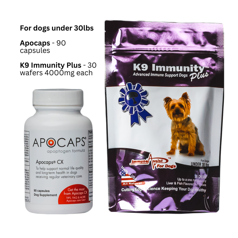 Apocaps® and K9 Immunity Plus™ - K9medicinals.com k9 immunity plus for dogs under 30lbs 30 wafers per pack apocaps capsules apoptogen formula for dogs 90 capsules dog supplements canine cancer supplements