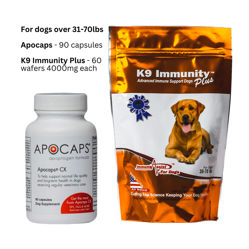 Apocaps® and K9 Immunity Plus™ - K9medicinals.com k9 immunity plus for dogs 30-70lbs 60 wafers per pack apocaps capsules apoptogen formula for dogs 90 capsules dog supplements canine cancer supplements