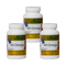 k9 omega bundle of 3 fish oil supplement for dogs aloha medicinals k9medicinals.com